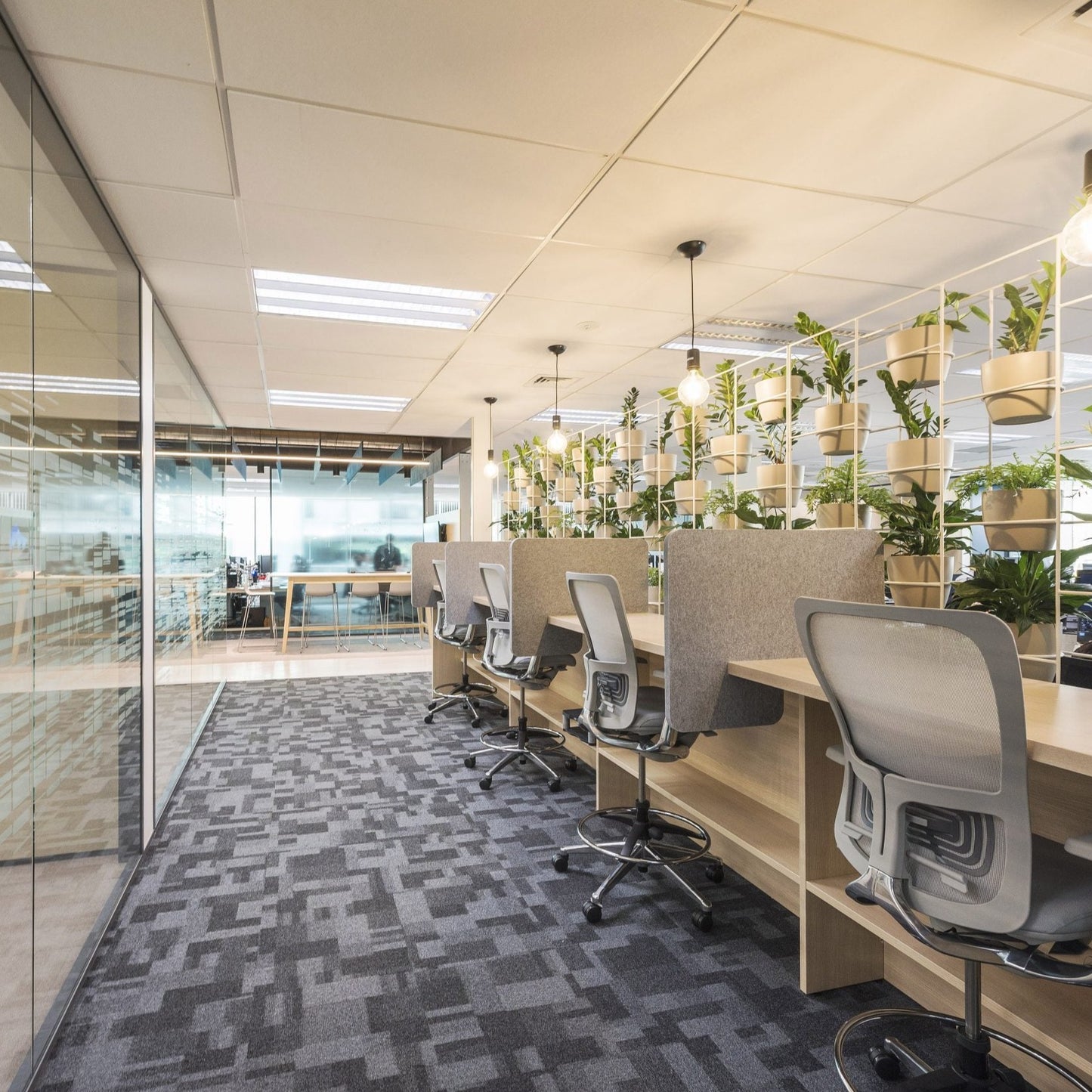 Autex Acoustics - Cove Desk Dividers