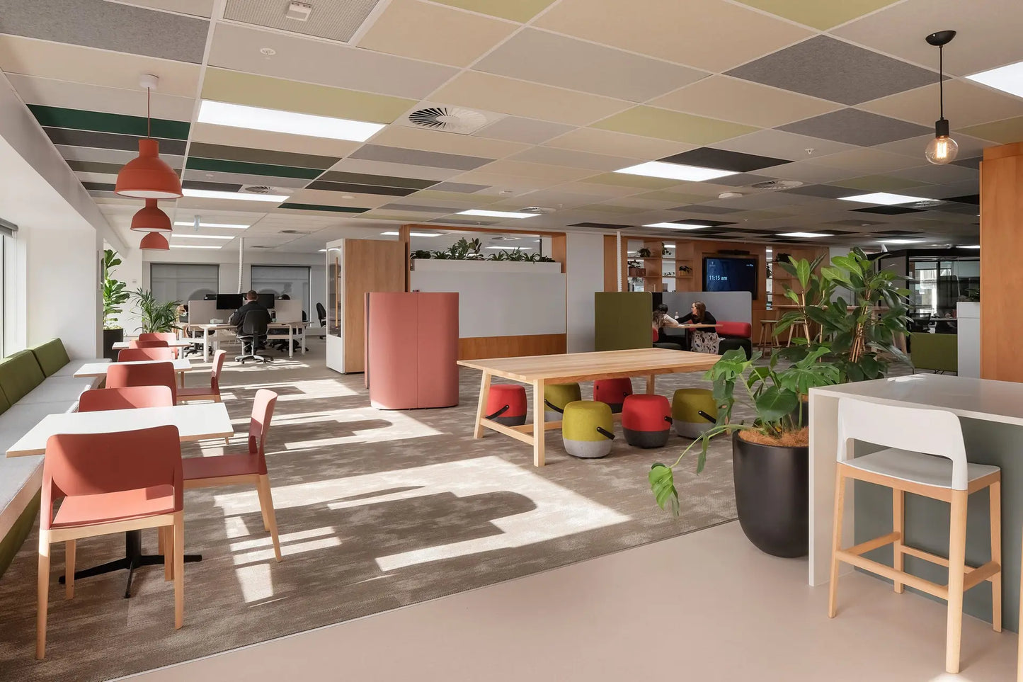 Autex Accent Ceiling Tiles