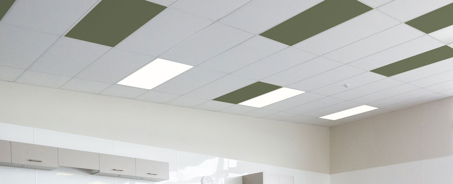 Autex Accent Ceiling Tiles