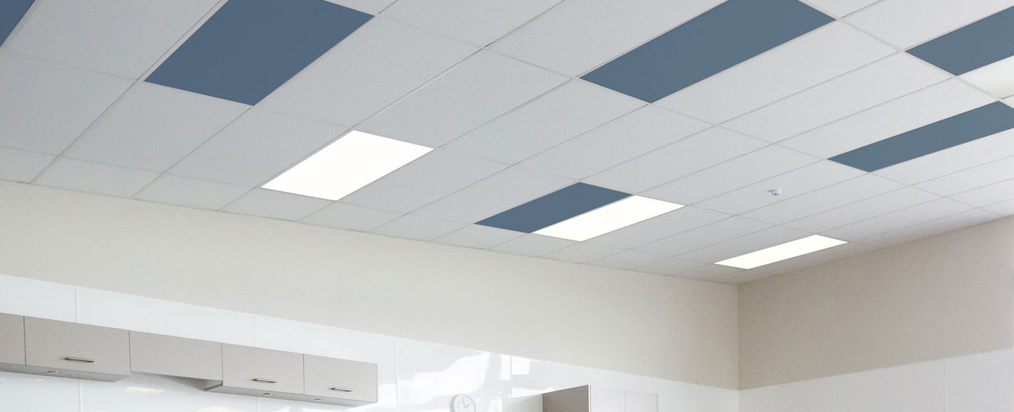 Autex Accent Ceiling Tiles