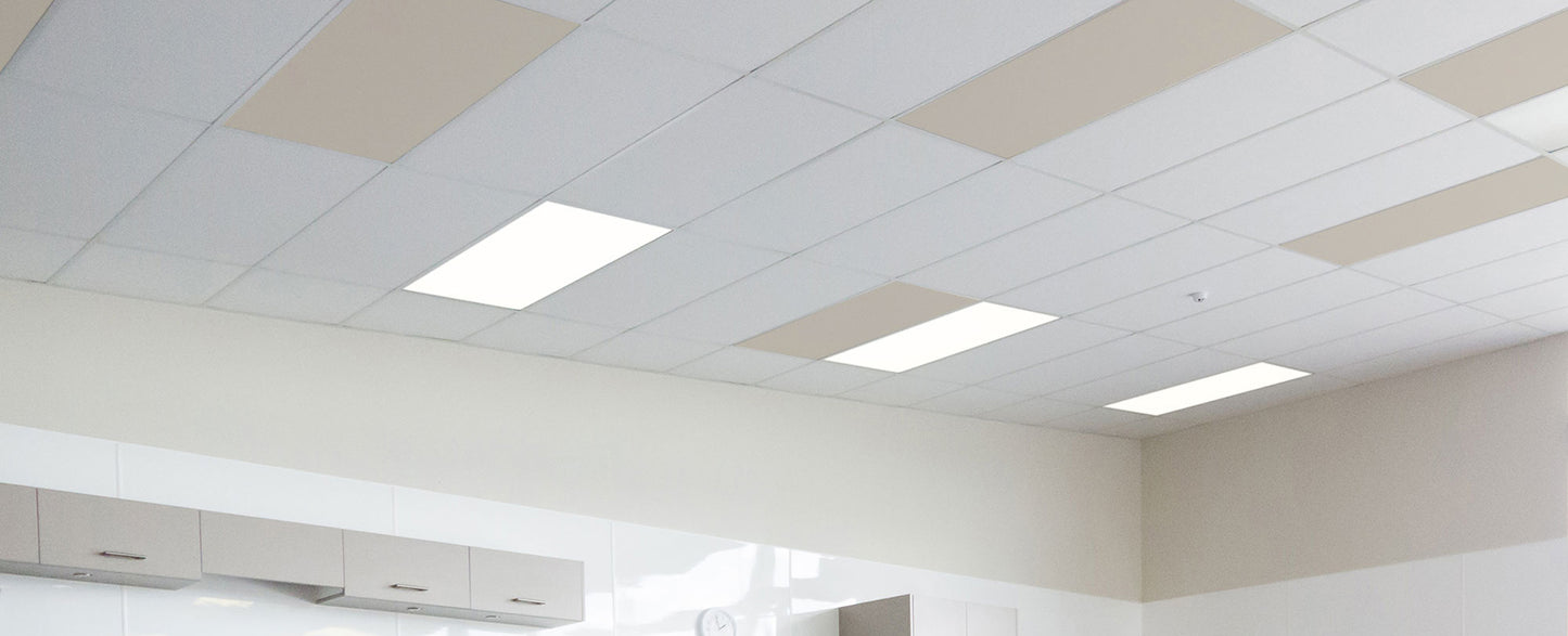 Autex Accent Ceiling Tiles