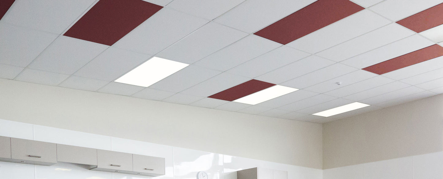 Autex Accent Ceiling Tiles