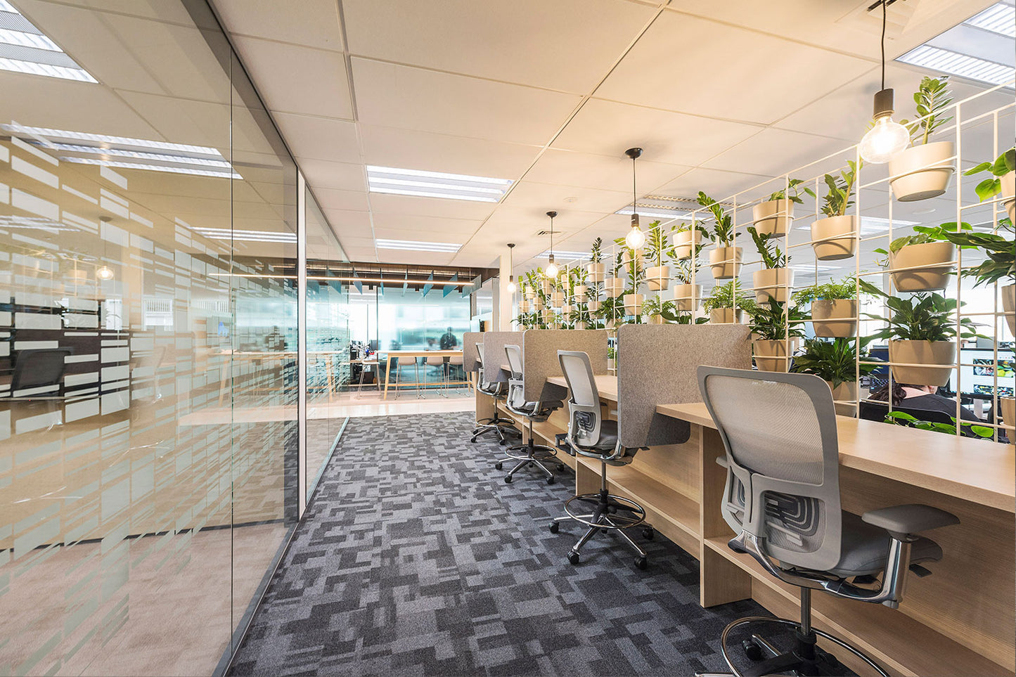 Autex Cove Desk Dividers