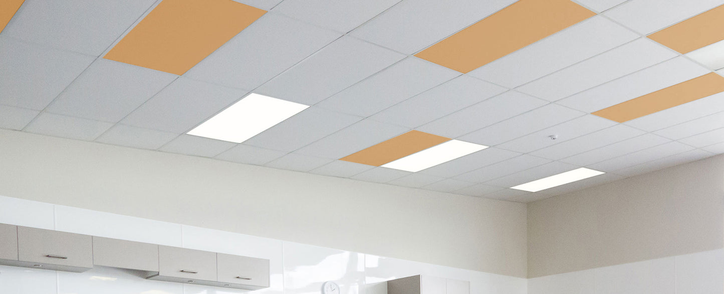 Autex Accent Ceiling Tiles