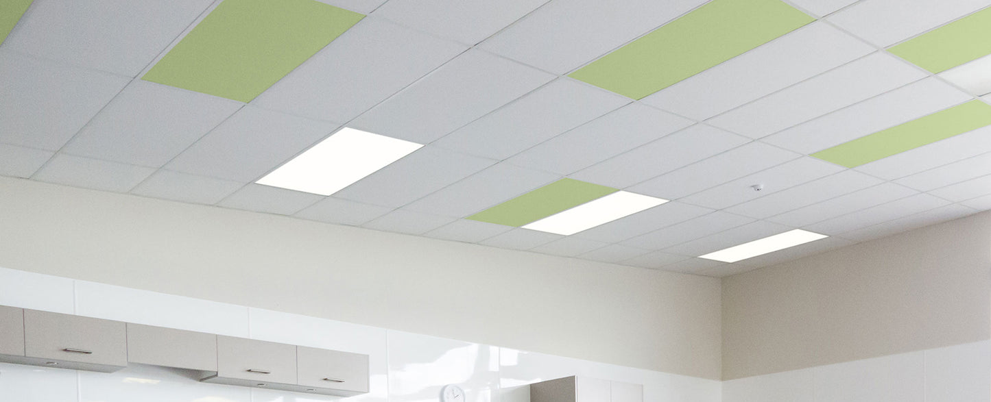 Autex Accent Ceiling Tiles