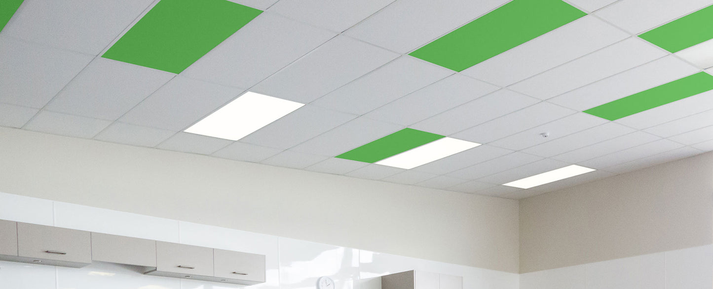 Autex Accent Ceiling Tiles