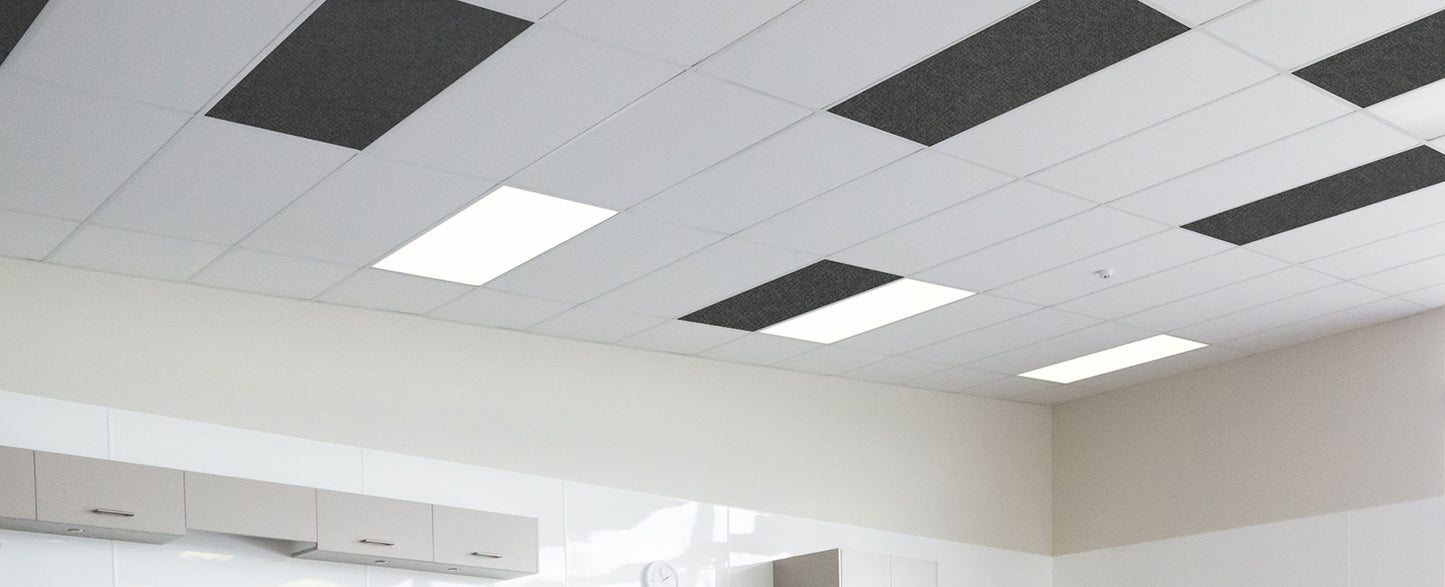 Autex Accent Ceiling Tiles