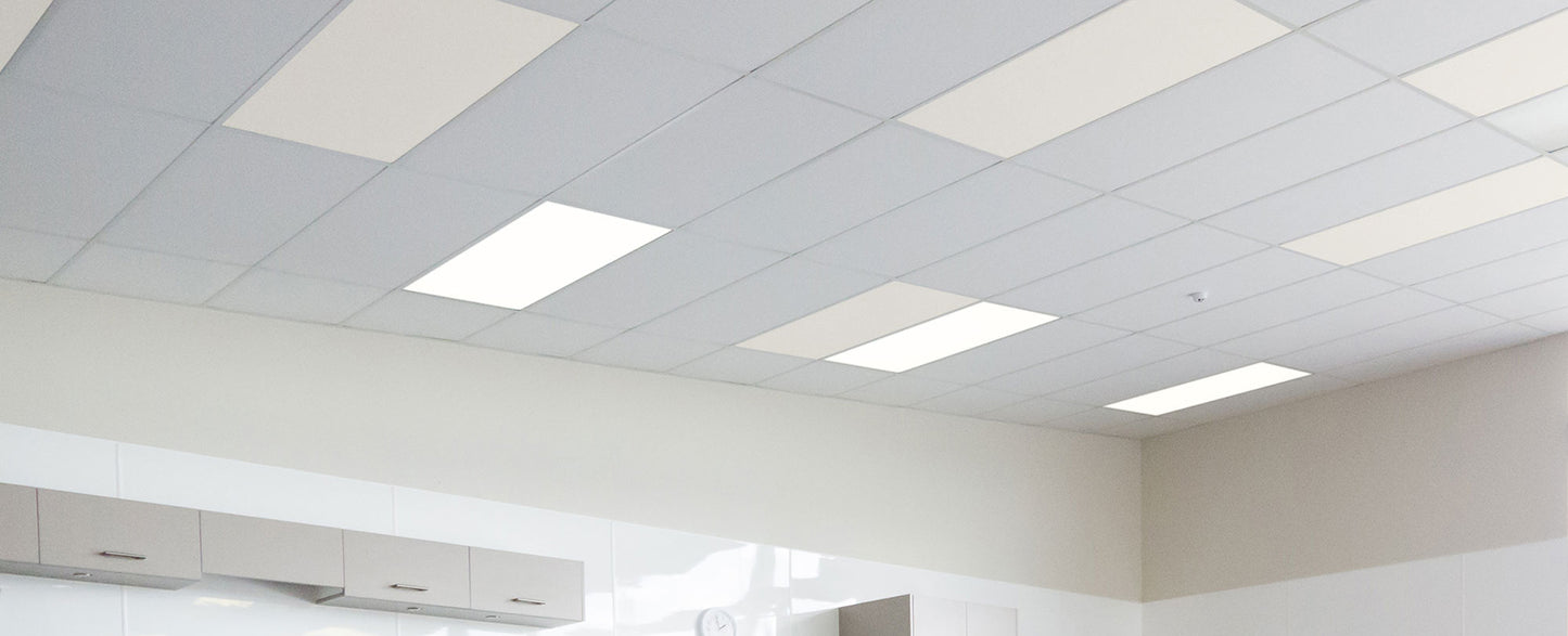 Autex Accent Ceiling Tiles