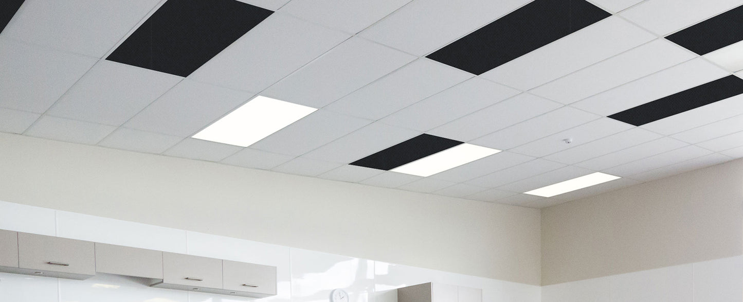 Autex Accent Ceiling Tiles