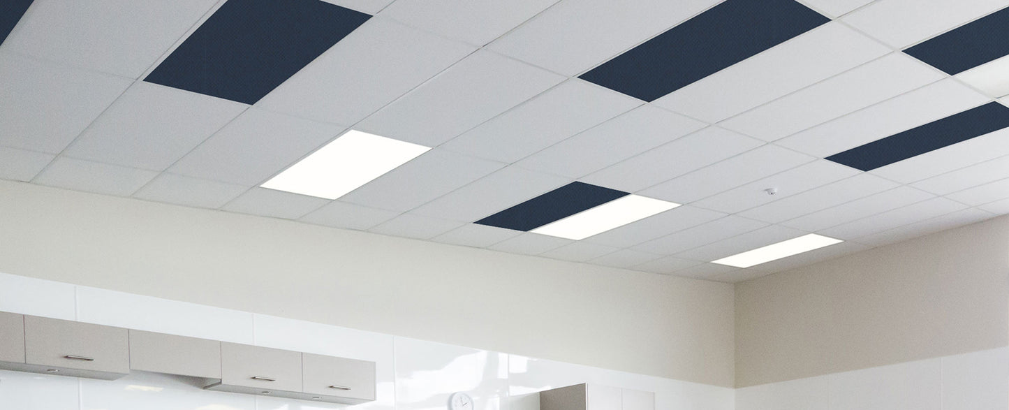Autex Accent Ceiling Tiles