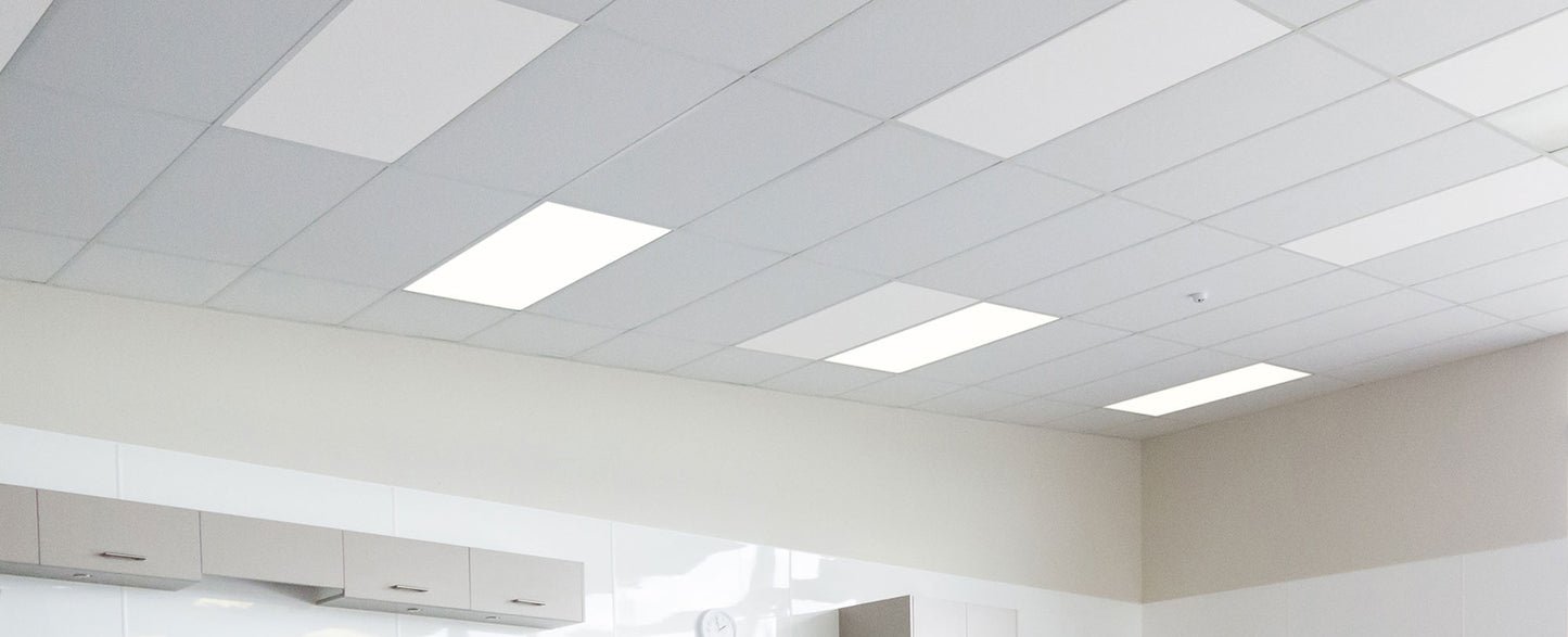 Autex Accent Ceiling Tiles