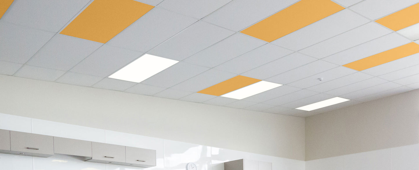 Autex Accent Ceiling Tiles