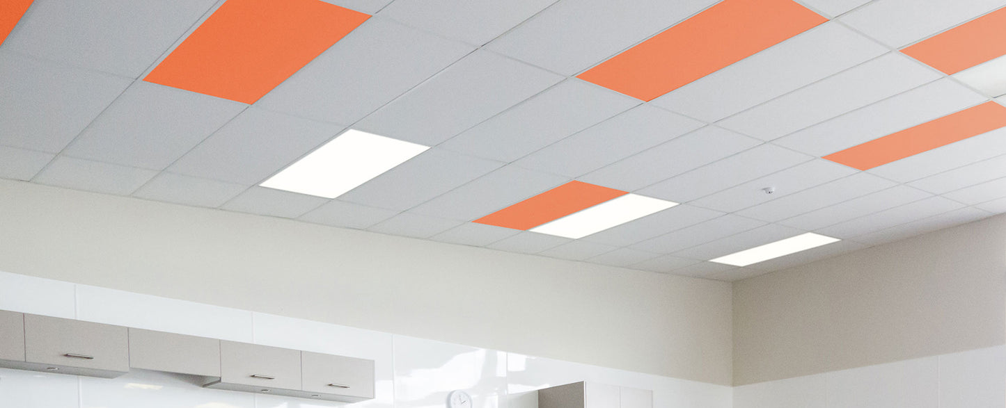 Autex Accent Ceiling Tiles