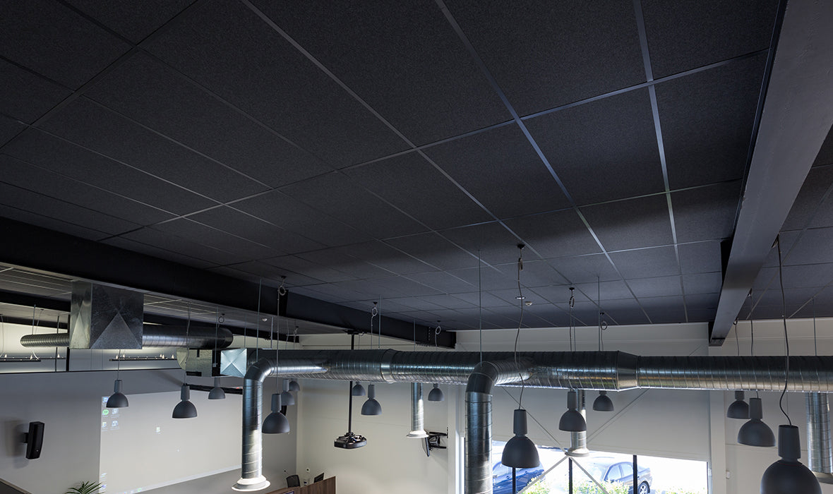 Autex Accent Ceiling Tiles