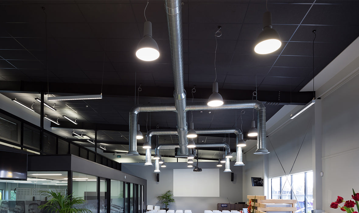Autex Accent Ceiling Tiles